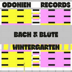 Bach & Blüte - Bei Nacht