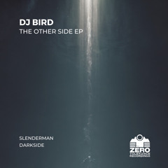 Premiere: DJ Bird - Darkside [Zero Tolerance Recordings]