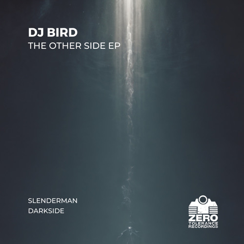 Premiere: DJ Bird - Darkside [Zero Tolerance Recordings]