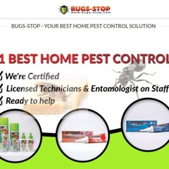 Pest Control Products in Singapore