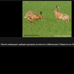 MC Witala -  Www.krutije - Russaki.com