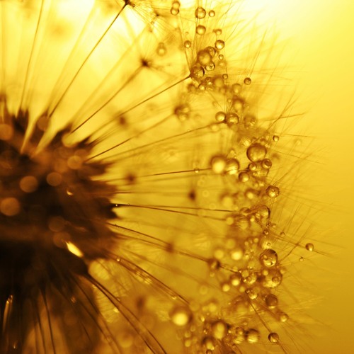 Golden-Citrine Angelic Light Transmission: Clearing and Uplifting the Solar Plexus Chakra.