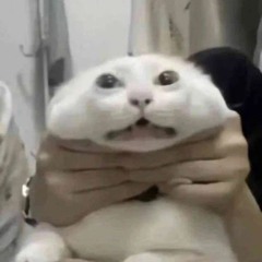 silly playlist when im fucking bored.