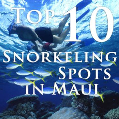 Best Snorkel Spots In Maui Prices Reviews