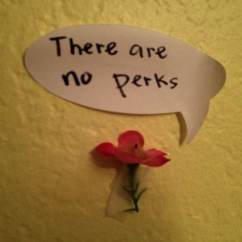 Sunlight Through My Window