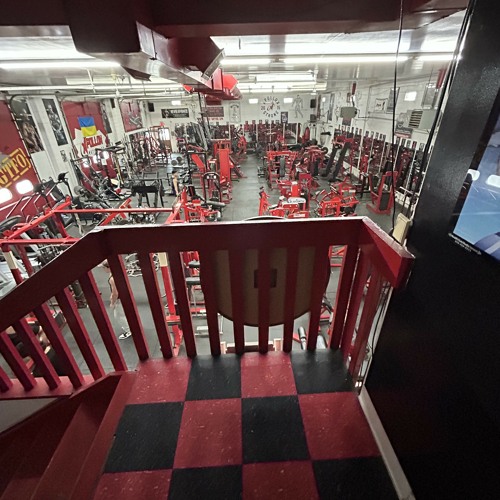Mf Gym