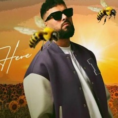 Haal__Still_Here____Garry_Sandhu___Official_Video_Song_2023___Fresh_Media_Records(128k).mp3