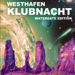 TINO NEUWIRTH DJ SET @ WESTHAFEN 2023