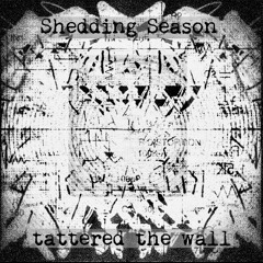 tattered the wall / Newton's Cradle(extremeOBSN Remix)