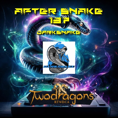 Darksnake Special Live Techno "After Snake 137" Radio TwoDragons 17.3.2024