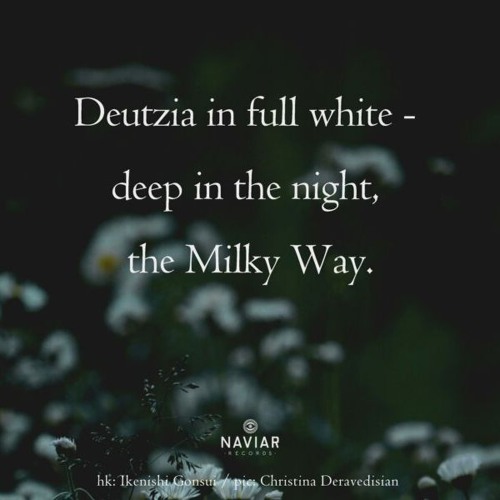 haiku #621: Deutzia in full white - / deep in the night, / the Milky Way.