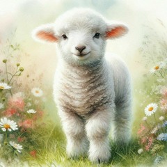 Turn to the Lamb