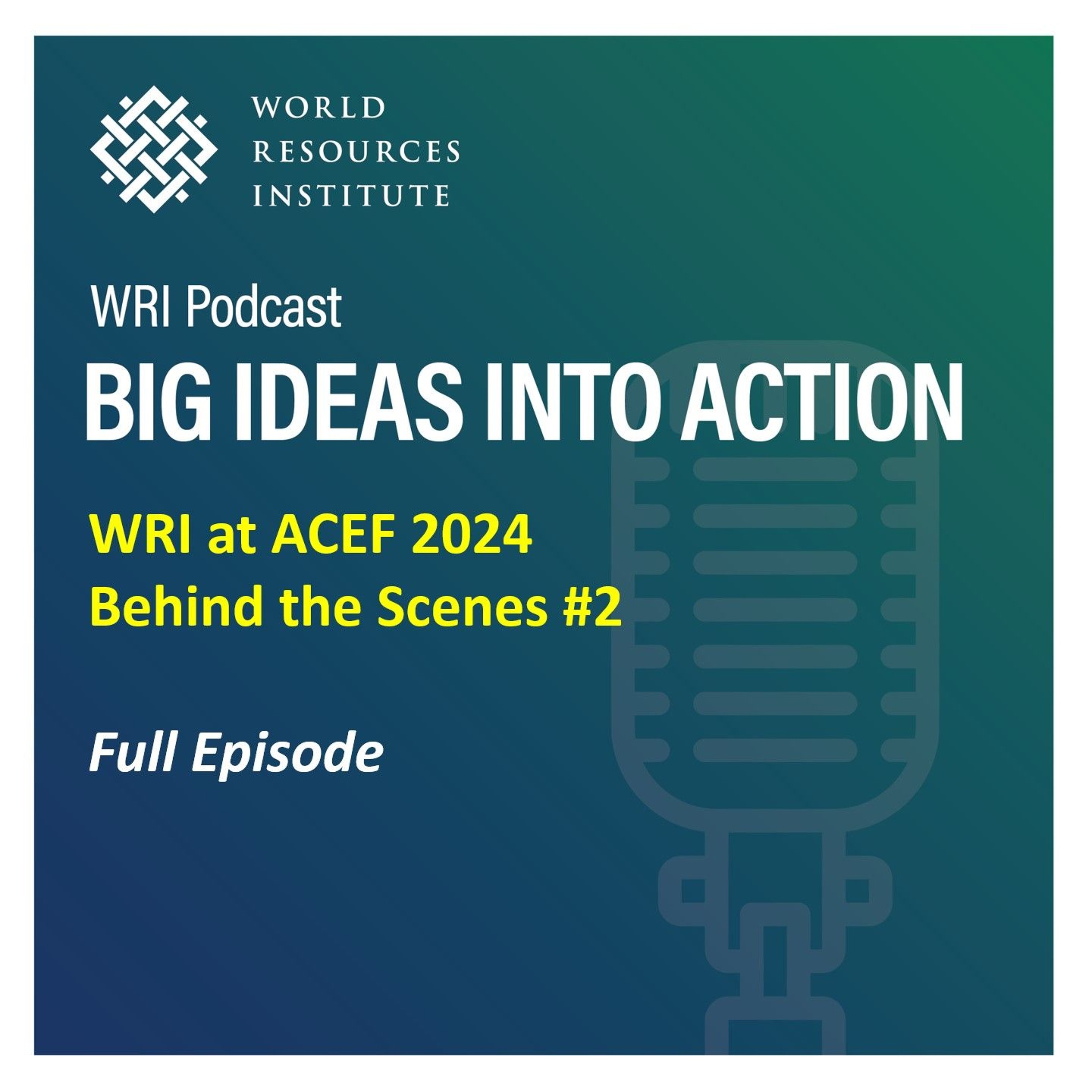 World Resources Institute Podcasts Plus