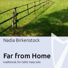 Far From Home (Irish Reel) with Bodhrán