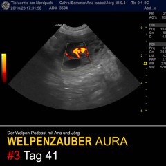 WELPENZAUBER AURA #3 Tag 41