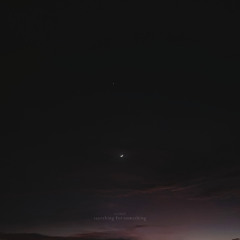Searching for Something