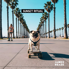 James Rease - Sunset Ritual (Original mix)