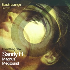 Sandy H feat Magnus - Something New (Medsound Remix)
