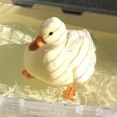 Again - Leanne & Naara (rough snippet cover)