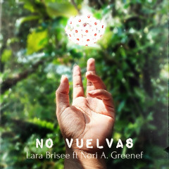 No Vuelvas