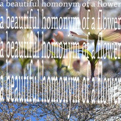 a beautiful homonym of a flower (a reel)
