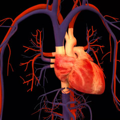 Pull My heart away pt3