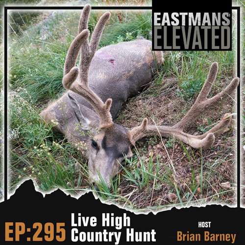 Episode 295: Live High Country Hunt