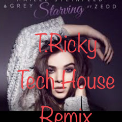 I Didnt Know That I Was Starving Till I Tasted You T.Ricky (tech House Remix)