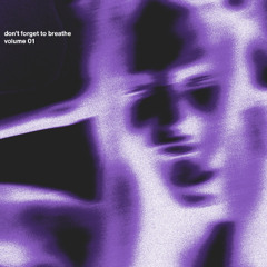 PVRPLE. - Don't Forget to Breathe Vol. 1