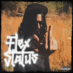 Flex Status (prod. julioo!)