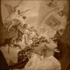 son lux - let me follow (slowed & reverb)