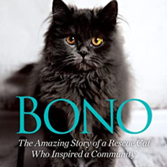 Get EBOOK 🗸 Bono: The Amazing Story of a Rescue Cat Who Inspired a Community by  Hel