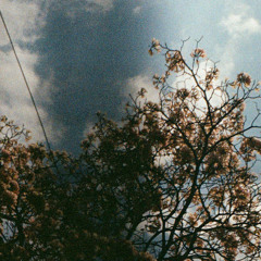 Oceantied - Result of Endless Loops