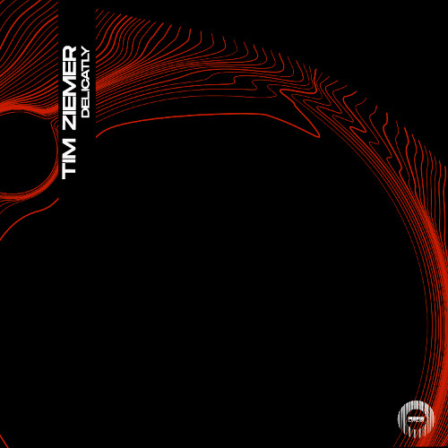 Tim Ziemer - Delicatly (Original Mix)