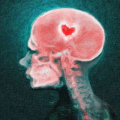 Best of Awake in the World : Making Friends with Your Mind