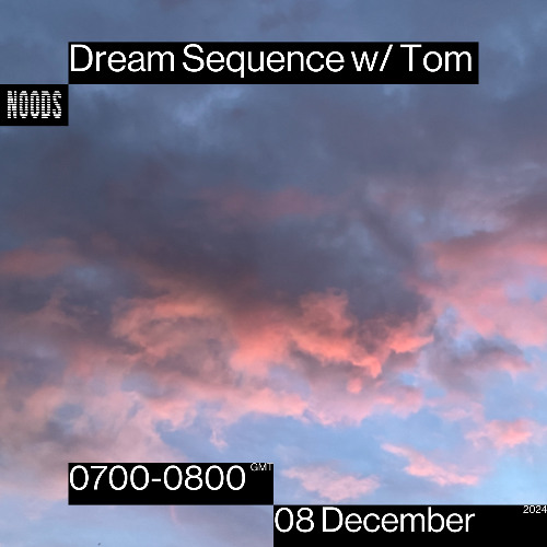 Dream Sequence 04
