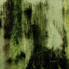 PEIX - J0529-435 (Original Mix) |TRM346|