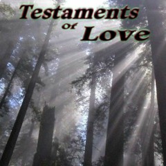 Testaments of Love - 10 december