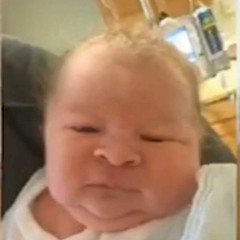 Le pudding a larsenic