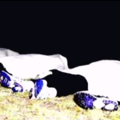 À L W À Y Š   ~    ヘナムフホメ三ネへタヌタト