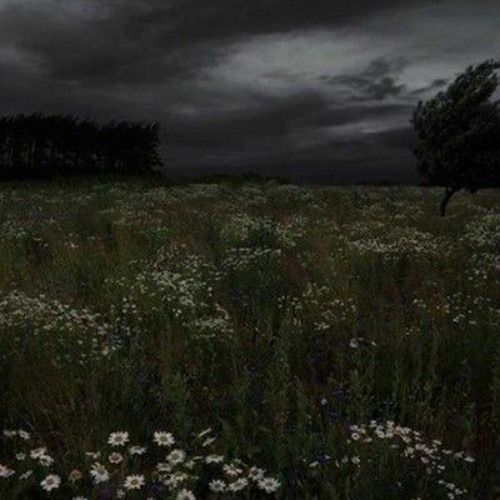 Kyle Dixon & Michael Stein - Kids (slowed + reverb)