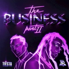Tiësto & Ty Dolla $ign - The Business, Part II ( SVLGVDO REMIX )