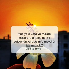 Mas yo mirare a Jehová-Miqueas 7:8  🌺 But for me , I will wait on Jehovah 🌹