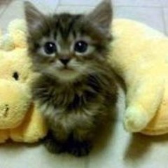 jerkin` forward xdddd (LiL Bo Weep remix)