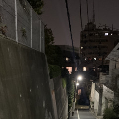 The Meeting Place （やくしまるえつこcover)