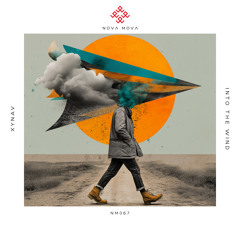 Into The Wind (Extended Mix)