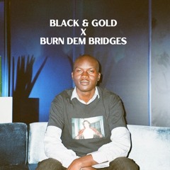 Black & Gold x Burn Dem Bridges (Dillon Hett Mashup) * Filtered Vocals
