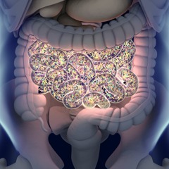 What is the microbiome?