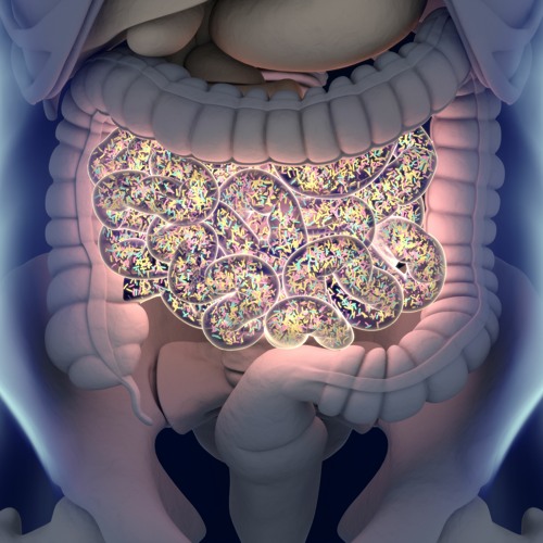 What is the microbiome?