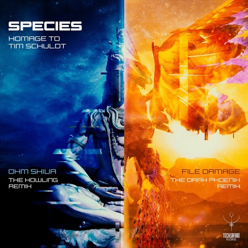 Tim Schuldt - File Damage (The Dark Phoenix Rmx By Species) [Sample] | Out on TechSafari records